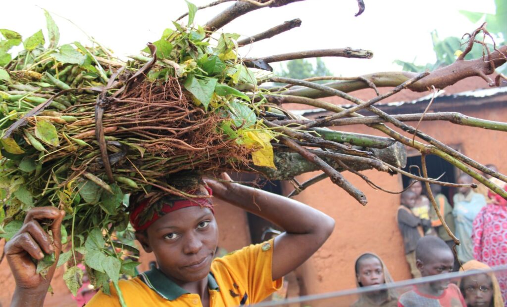 A woman gathers firewood in Burundi