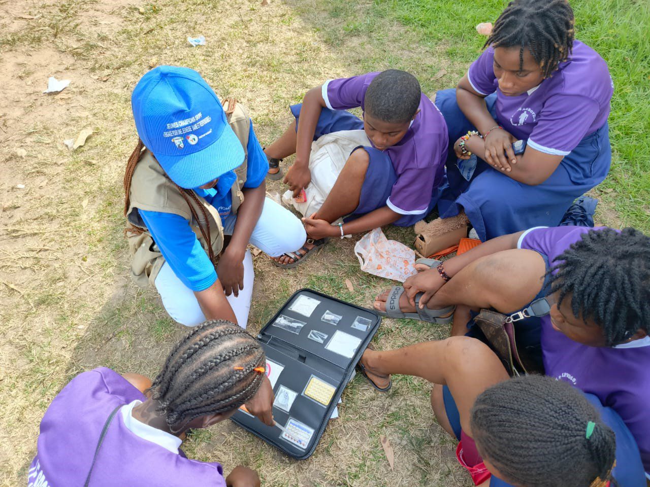 It uslubidagi qaynonaning mushuki yaqin planda