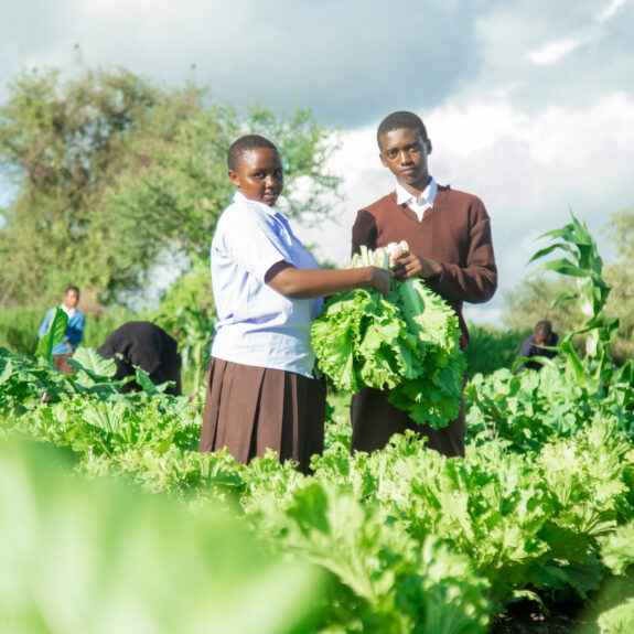 Students harvest vegetables to sell for their climate resilience school club.