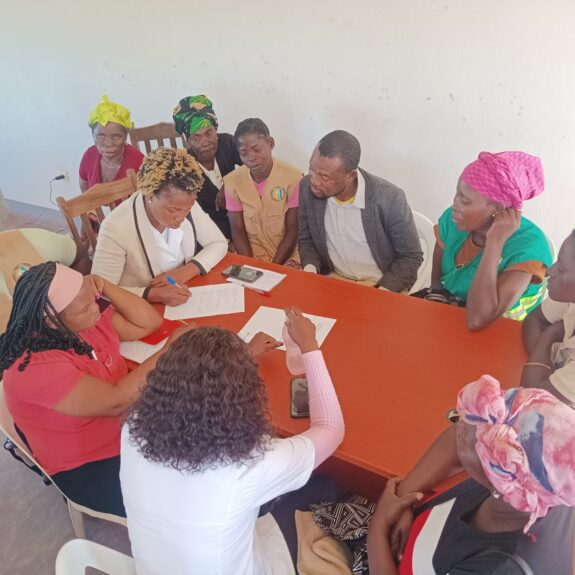 S-NICE: Group work among health providers and community health workers in Govuro, Inhambane under under the Futures with Choice project.