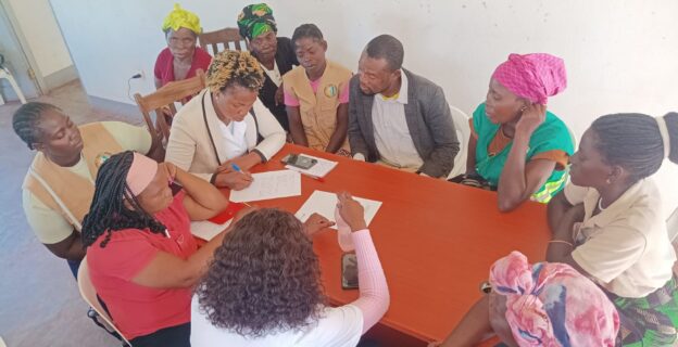 S-NICE: Group work among health providers and community health workers in Govuro, Inhambane under under the Futures with Choice project.